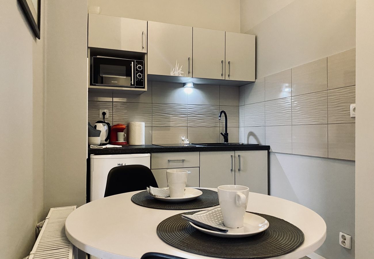 Studio in Kraków - Apartment next to charming Vistula Boulevards, Pekin