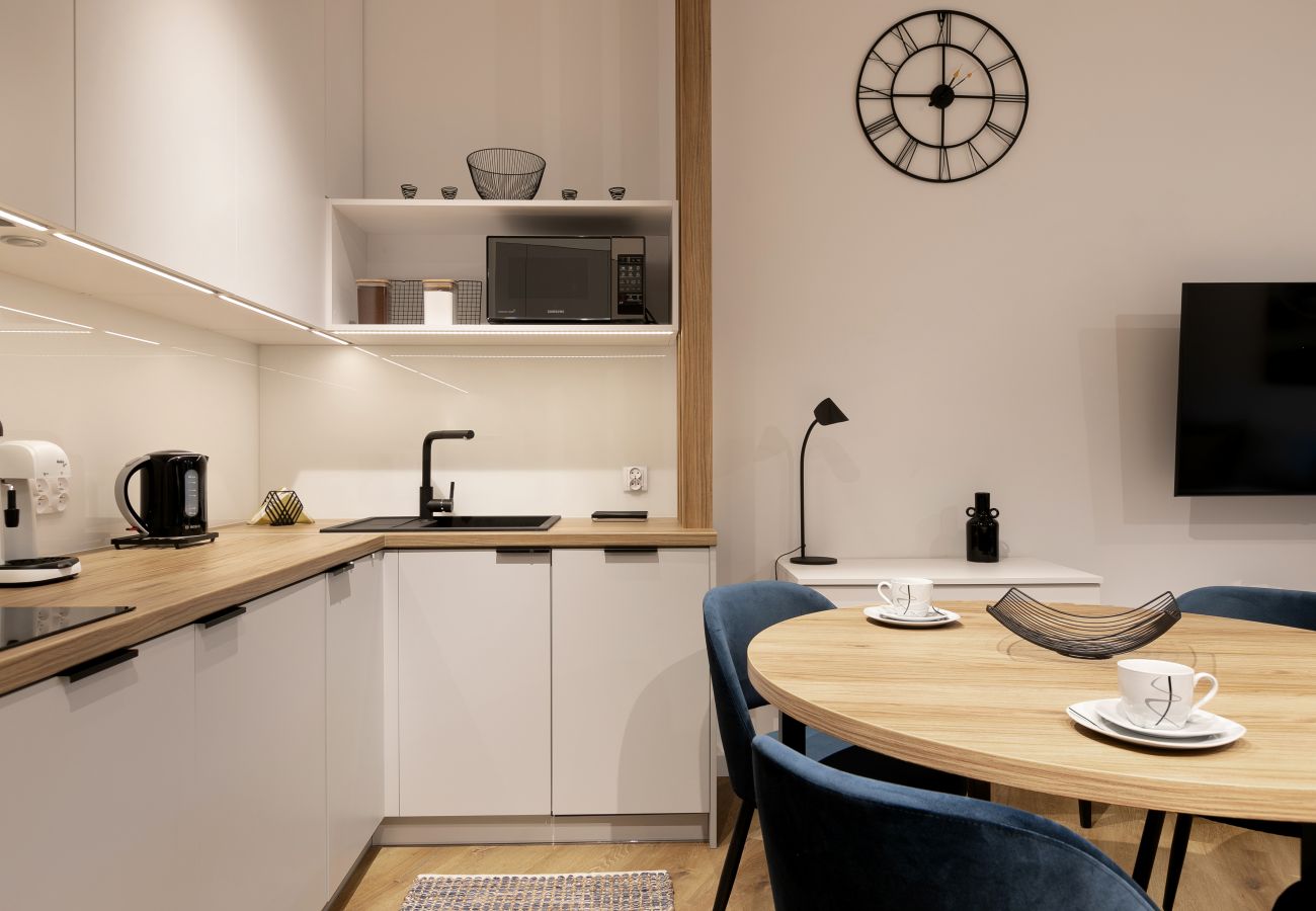 Studio in Kraków - Modern Apartment with AC, Old Town & Vistula River, Kossaka