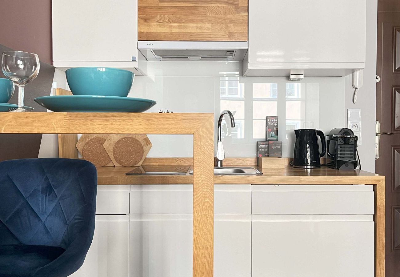 Studio in Kraków - Well-connected Apartment in Old Town, Rzeszowska