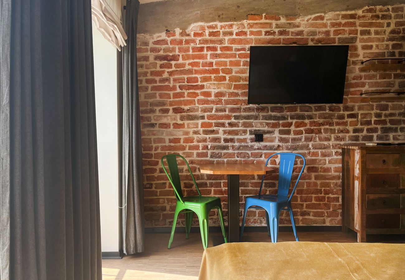 Studio in Kraków - Studio for couples with A/C, Vistula Boulevards, Różana