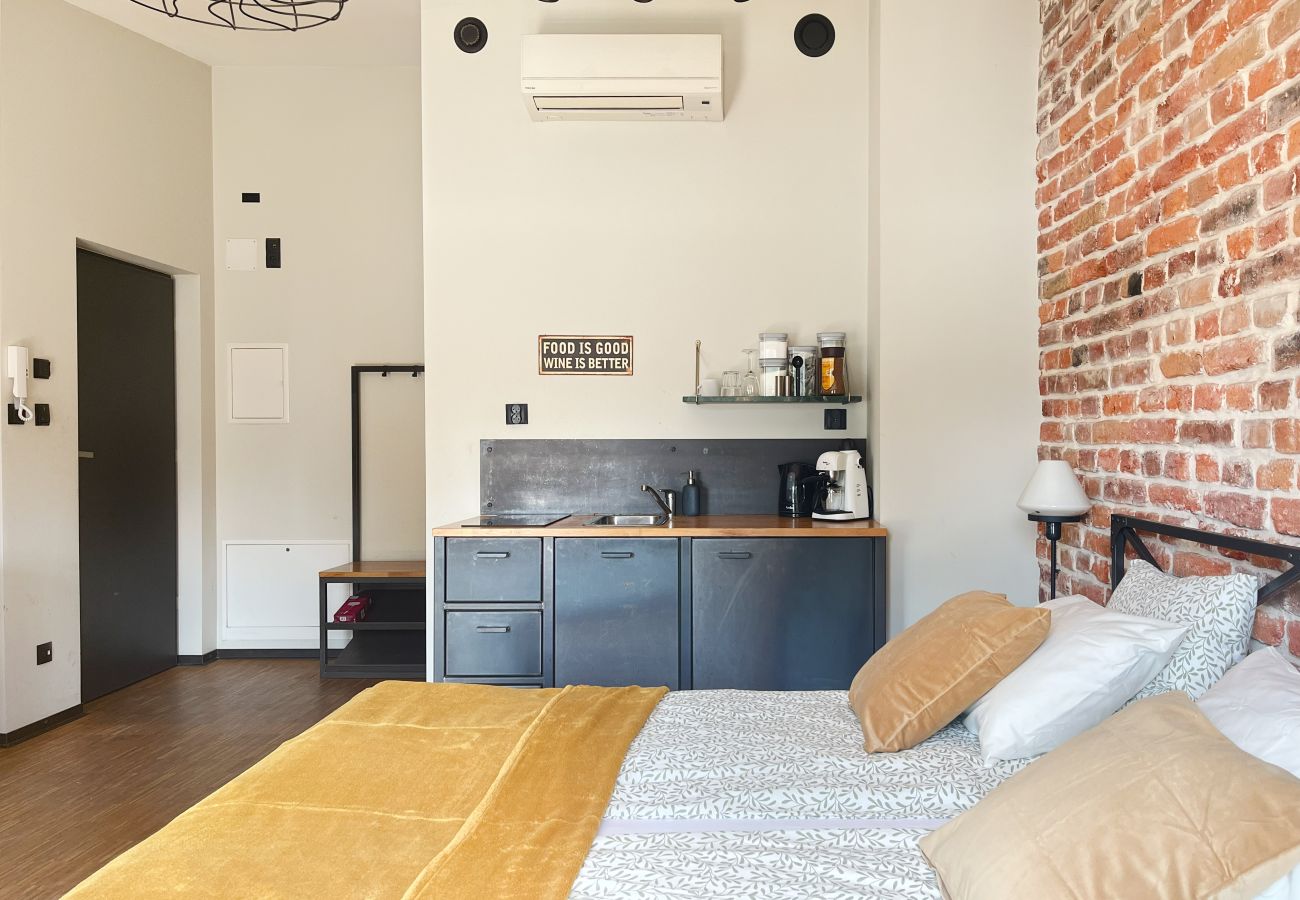 Studio in Kraków - Studio for couples with A/C, Vistula Boulevards, Różana