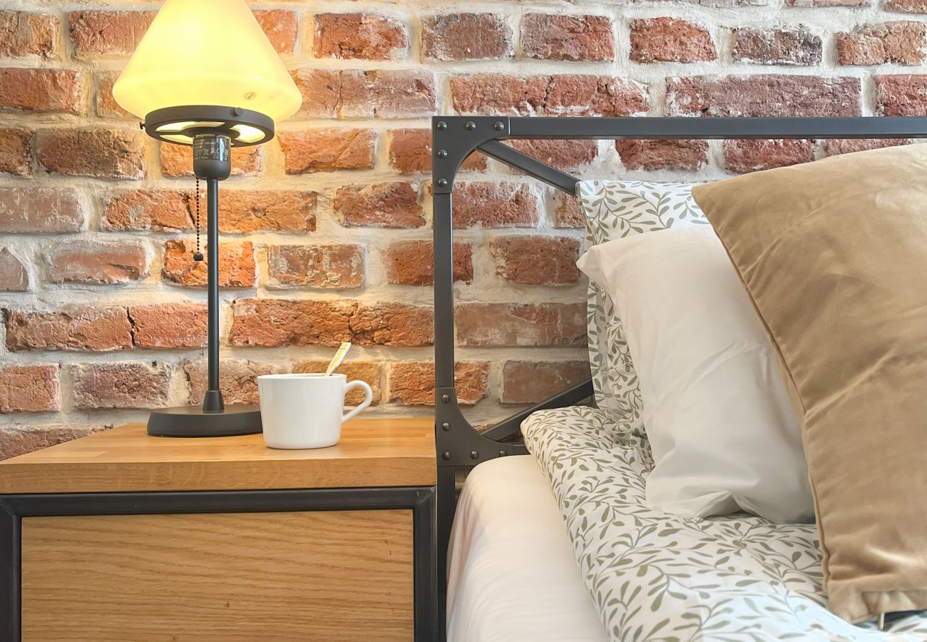 Studio in Kraków - Studio for couples with A/C, Vistula Boulevards, Różana