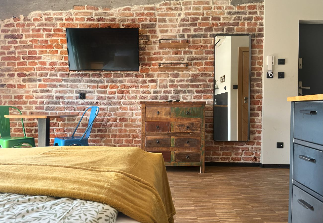 Studio in Kraków - Studio for couples with A/C, Vistula Boulevards, Różana