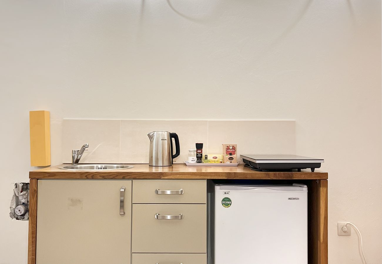 Ferienwohnung in Kraków - Studencka 