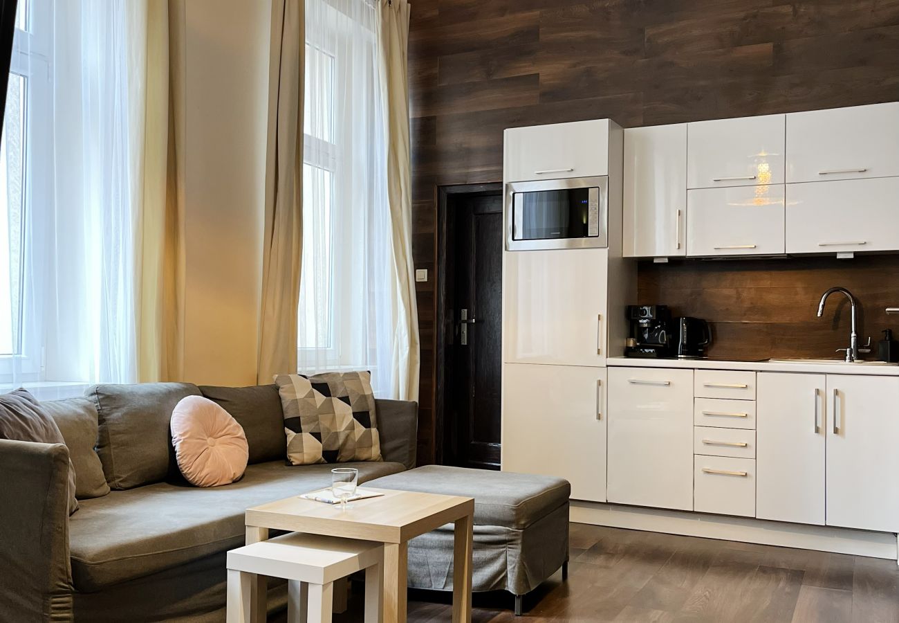 Studio in Kraków - Beautiful Studio for 4 guests, Main Square, Cracow, Marka