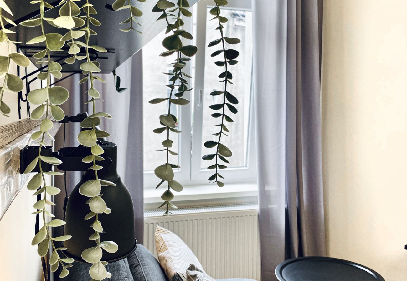 Apartment in Kraków - Apartment in a great location in Jewish District, Brzozowa