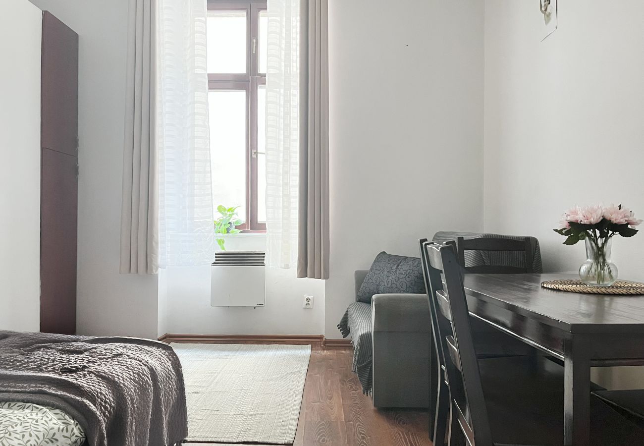 Apartment in Kraków - Smart Studio for 3 guests 8 min to Main Square, Zyblikiewicza