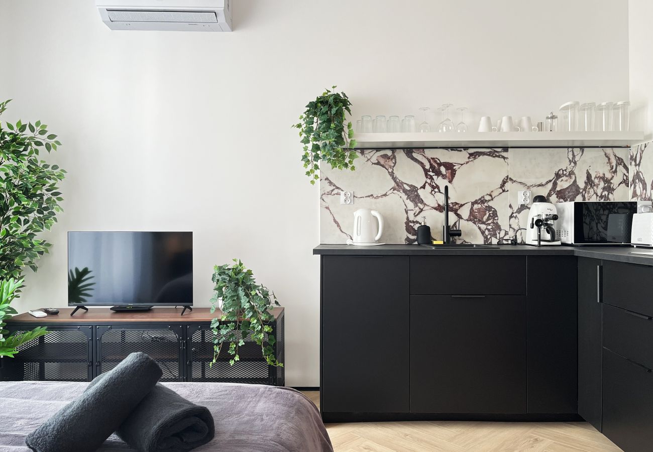 Studio in Kraków - Premium Apartment with A/C, city center Cracow, Dąbrowskiego