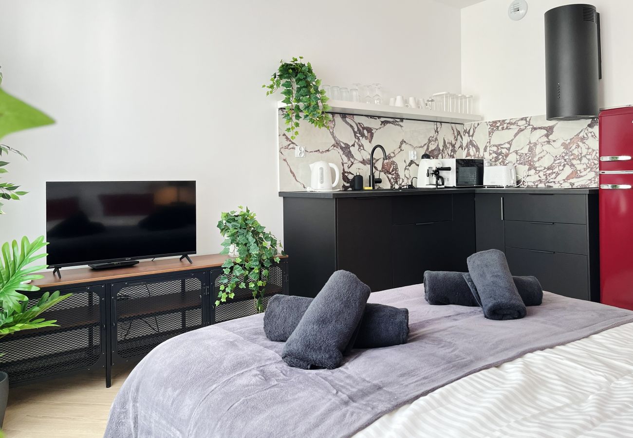 Studio in Kraków - Premium Apartment with A/C, city center Cracow, Dąbrowskiego
