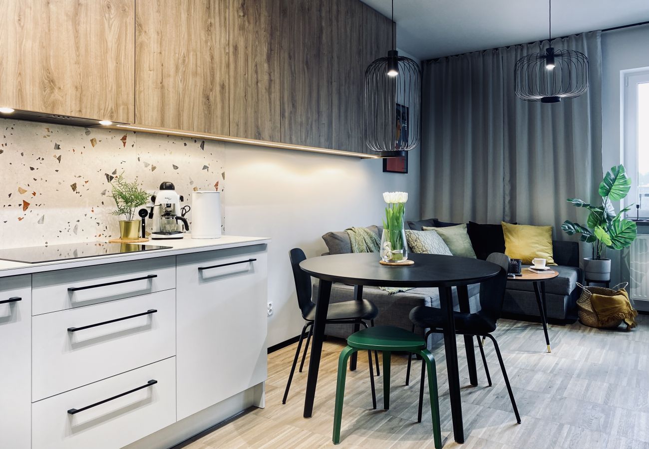 Apartament w Kraków - Apartament obok Bulwarów Wiślanych i Cracow Eye, Barska 