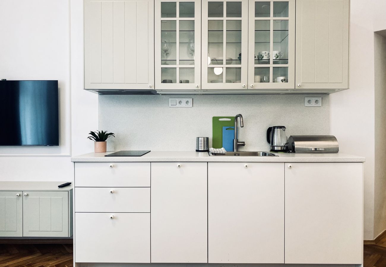 Apartament w Kraków - Apartament z dwoma sypialniami na Starym Mieście, Siemiradzkiego 