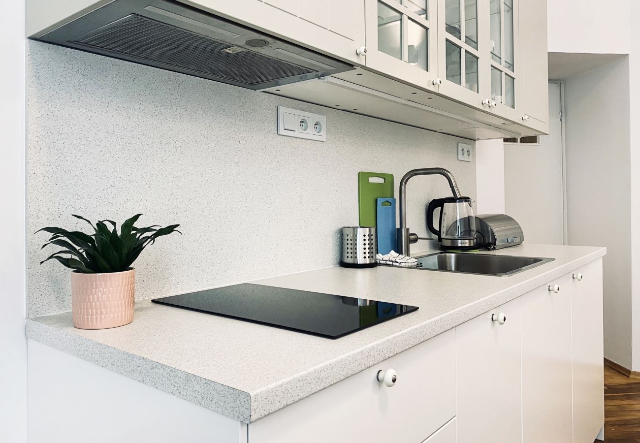 Apartament w Kraków - Apartament z dwoma sypialniami na Starym Mieście, Siemiradzkiego 