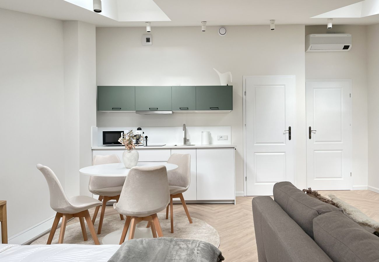 Studio w Kraków - Studiom Premium z klimatyzacją dla 4 osób, Grodzka