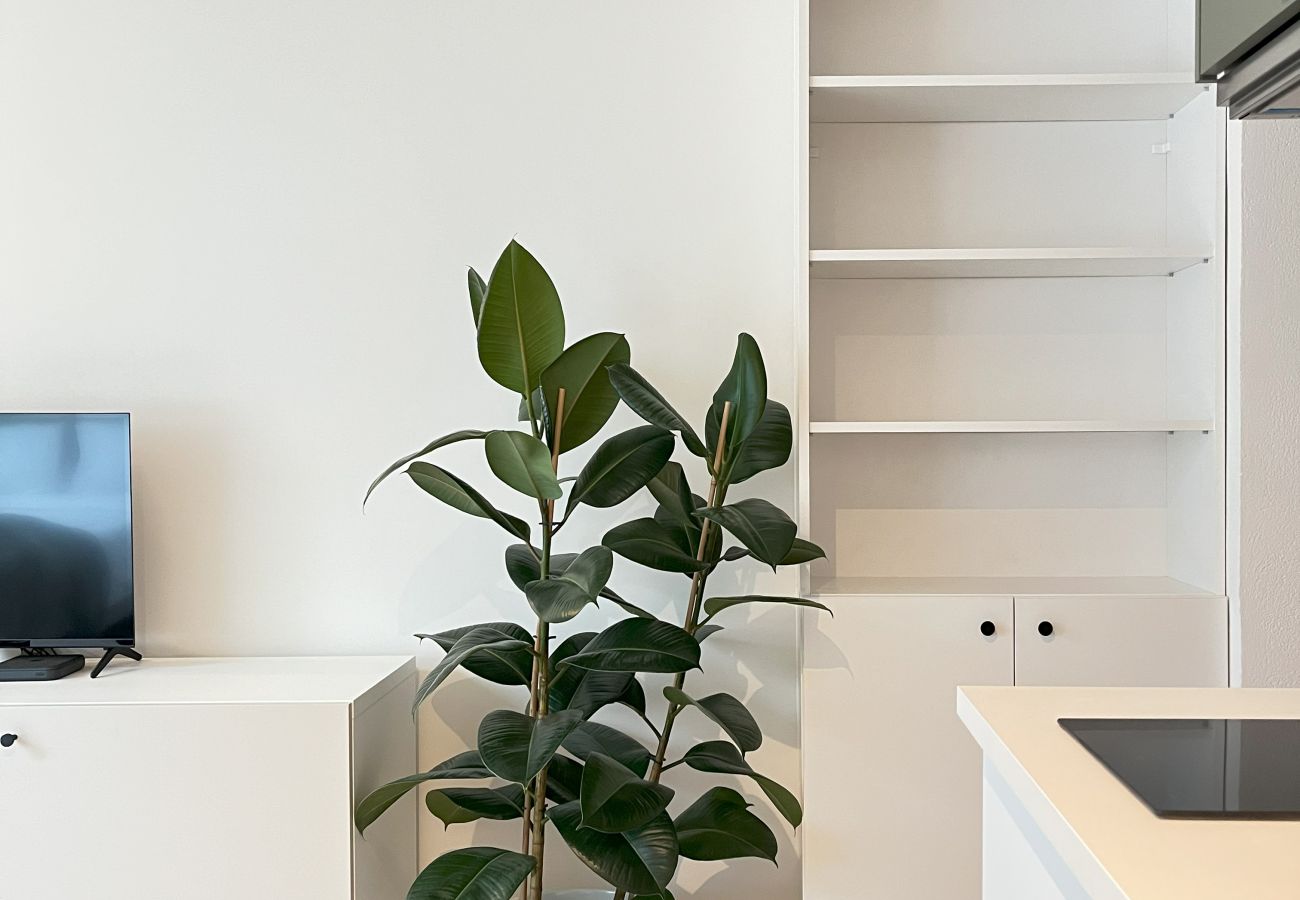Studio w Kraków - Studiom Premium z klimatyzacją dla 2 osób, Grodzka