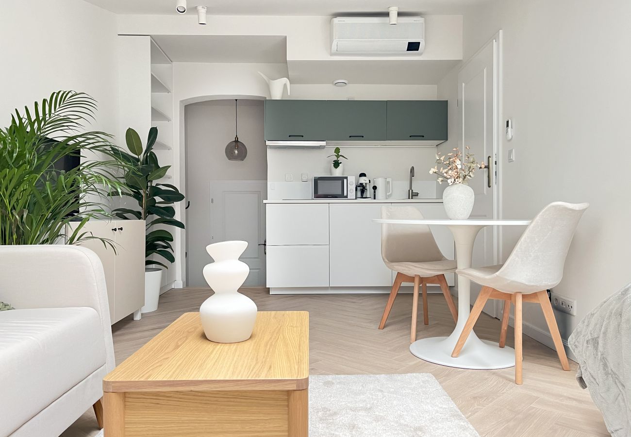 Studio w Kraków - Studiom Premium z klimatyzacją dla 2 osób, Grodzka