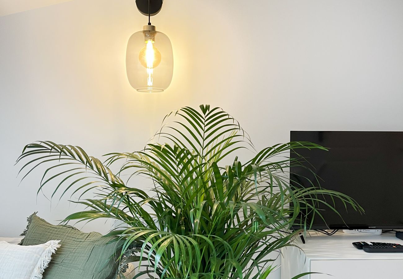Studio w Kraków - Studiom Premium z klimatyzacją dla 2 osób, Grodzka