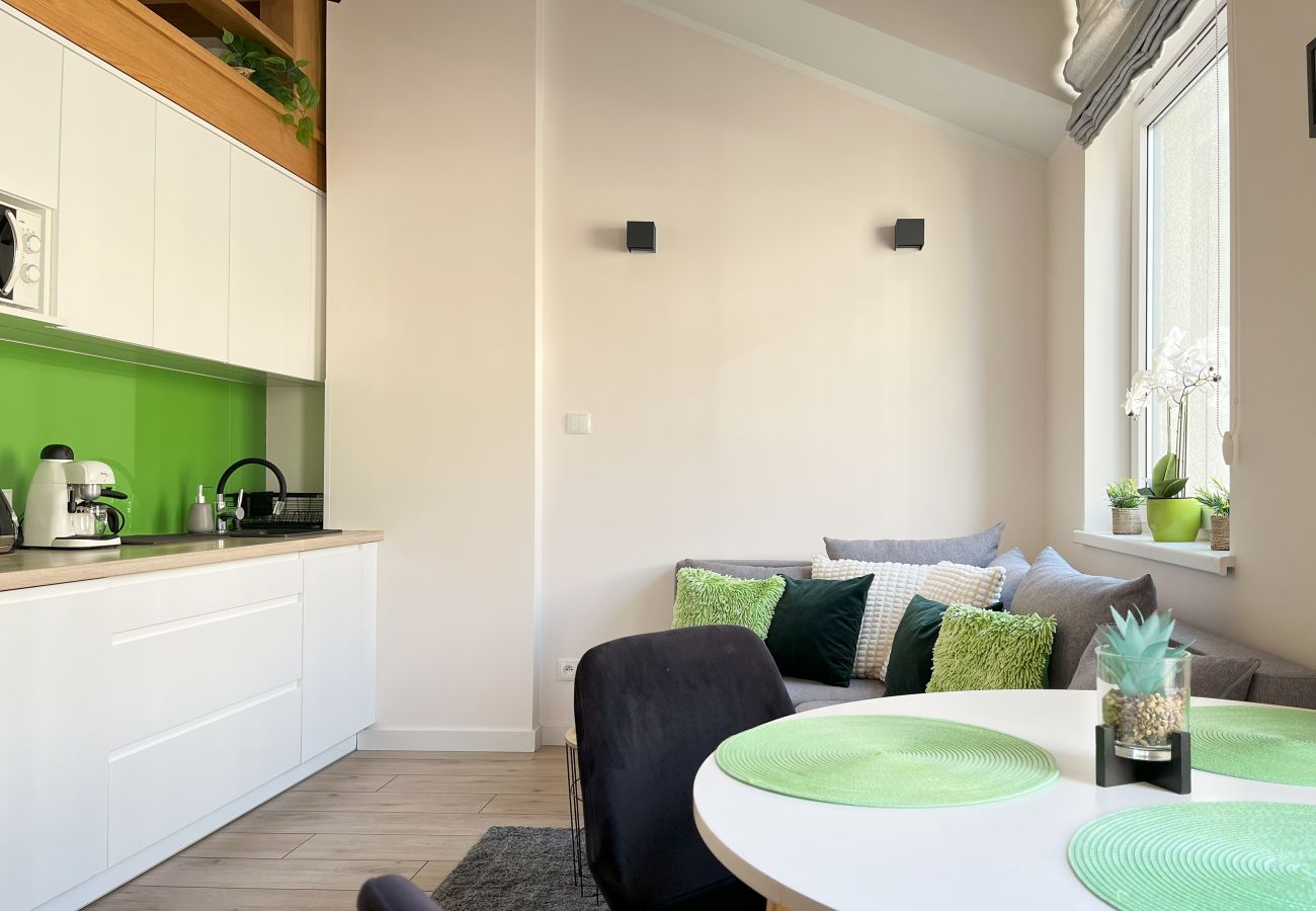 Studio w Kraków - Modern Studio close to Vistula Boulevards, Cracow, Stachowicza