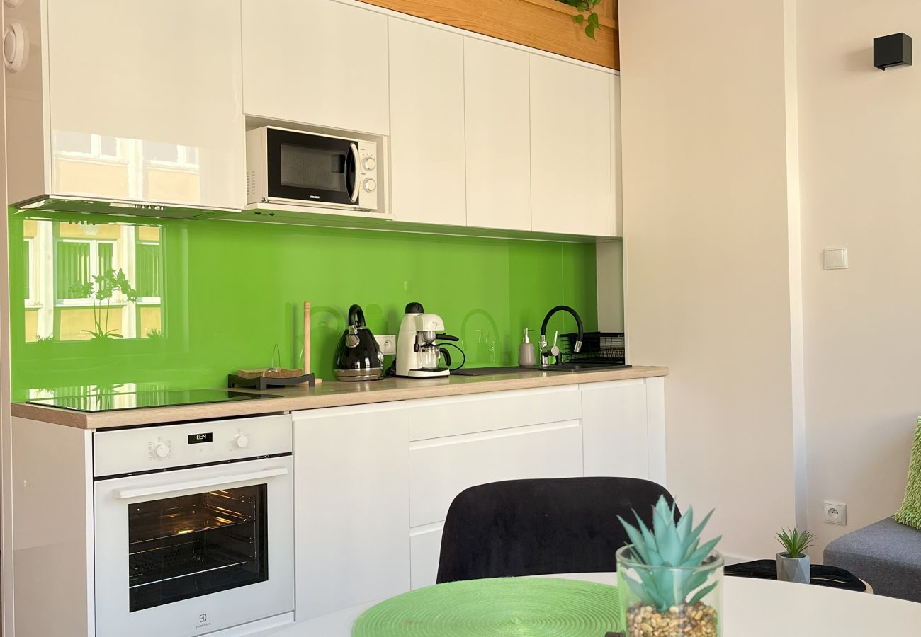 Studio w Kraków - Modern Studio close to Vistula Boulevards, Cracow, Stachowicza