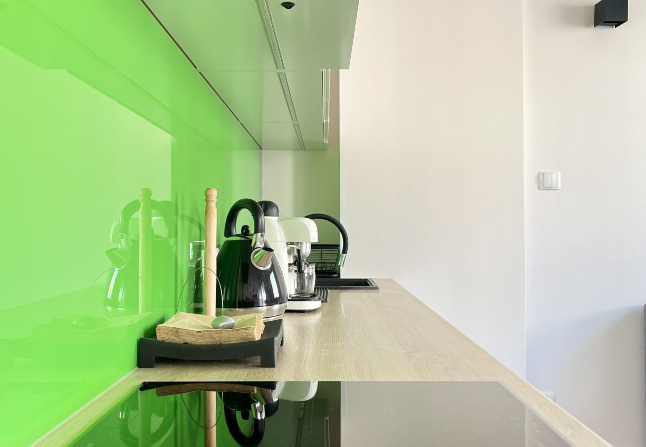 Studio w Kraków - Modern Studio close to Vistula Boulevards, Cracow, Stachowicza
