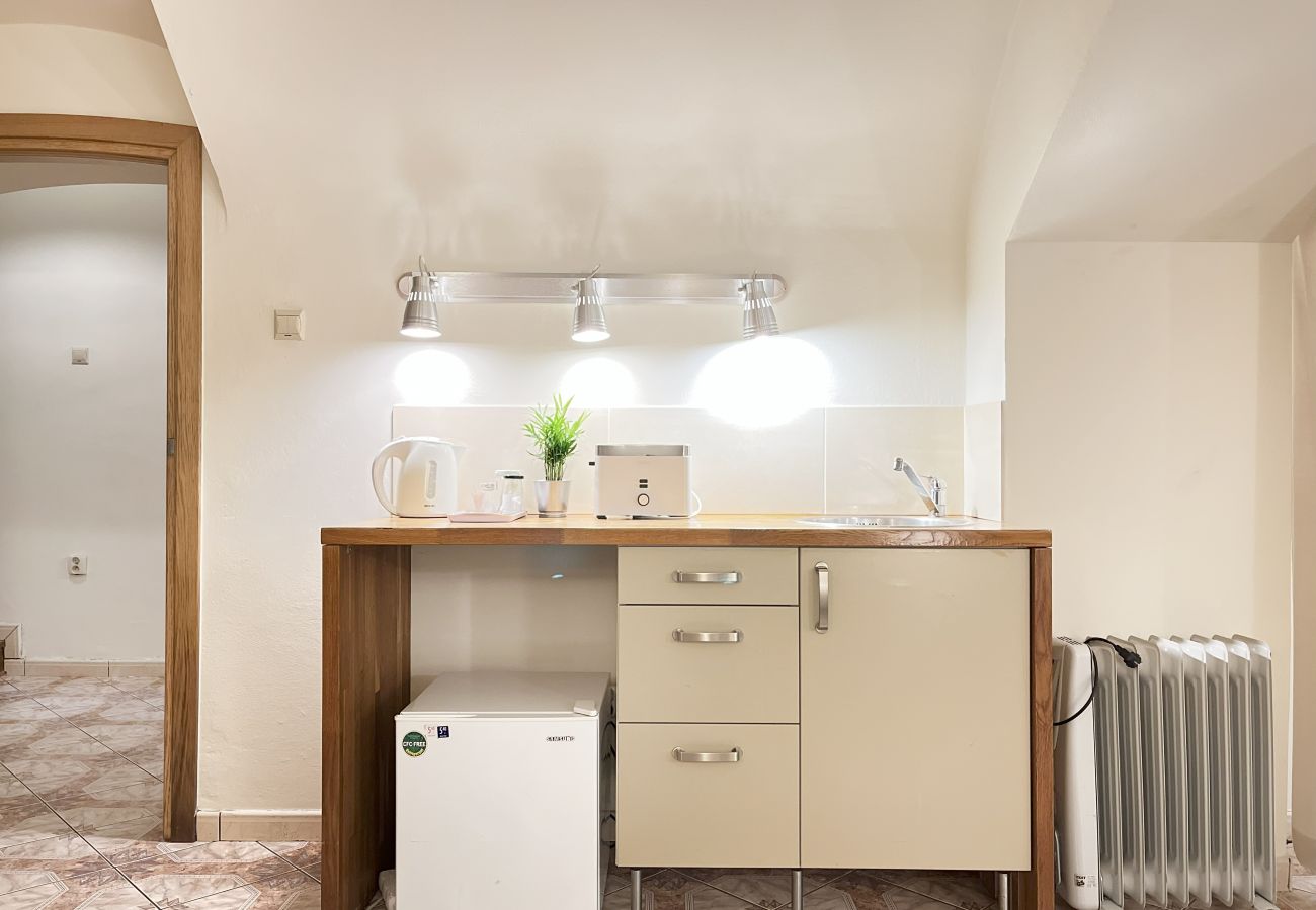Apartament w Kraków - Studencka