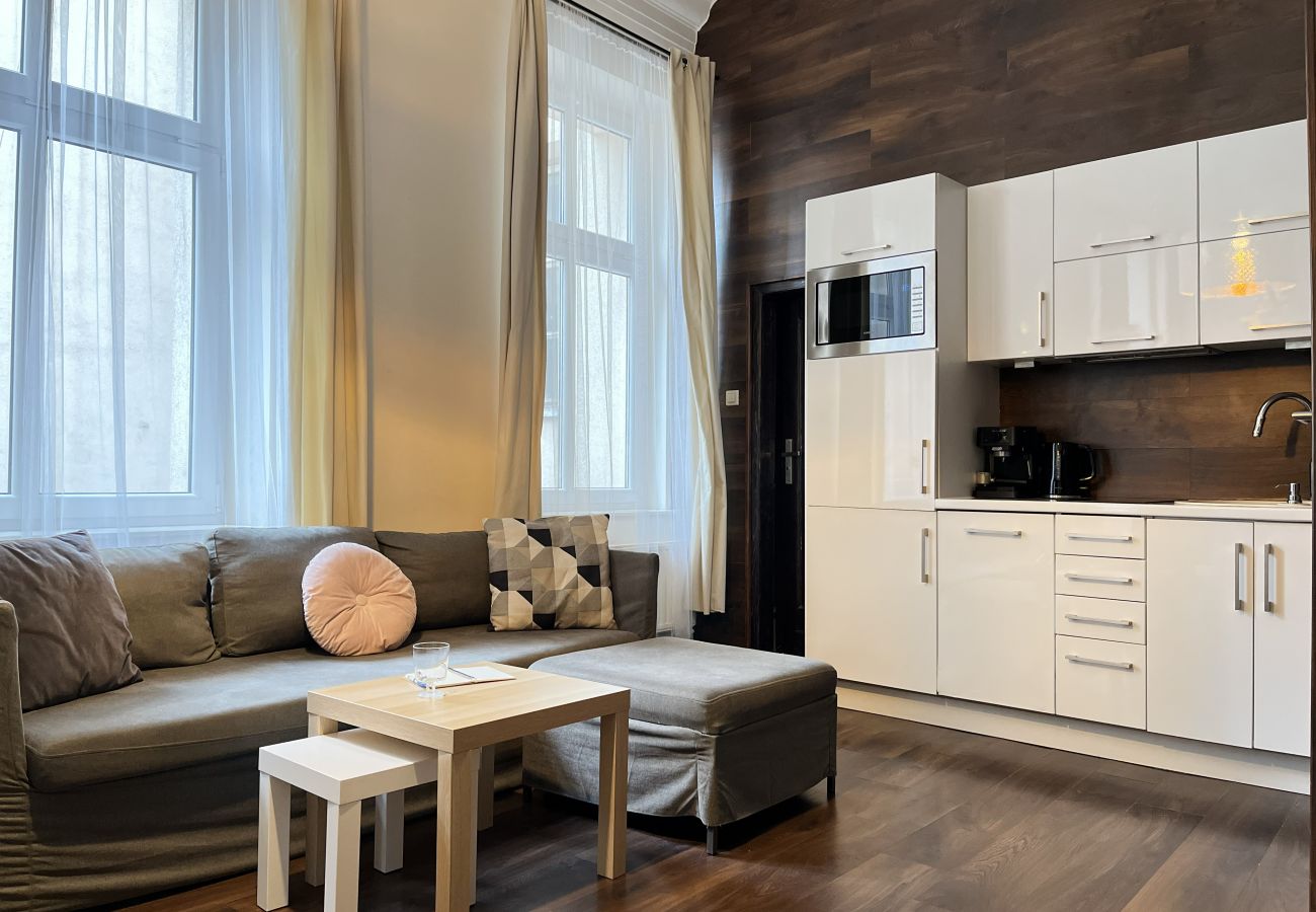 Studio w Kraków - Piękne Studio dla 4 gości, Rynek Główny, Kraków, Marka