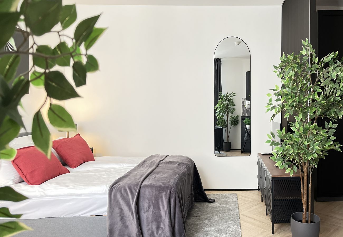 Studio w Kraków - Studio Premium w centrum Krakowa z klimatyzacją, Dąbrowskiego