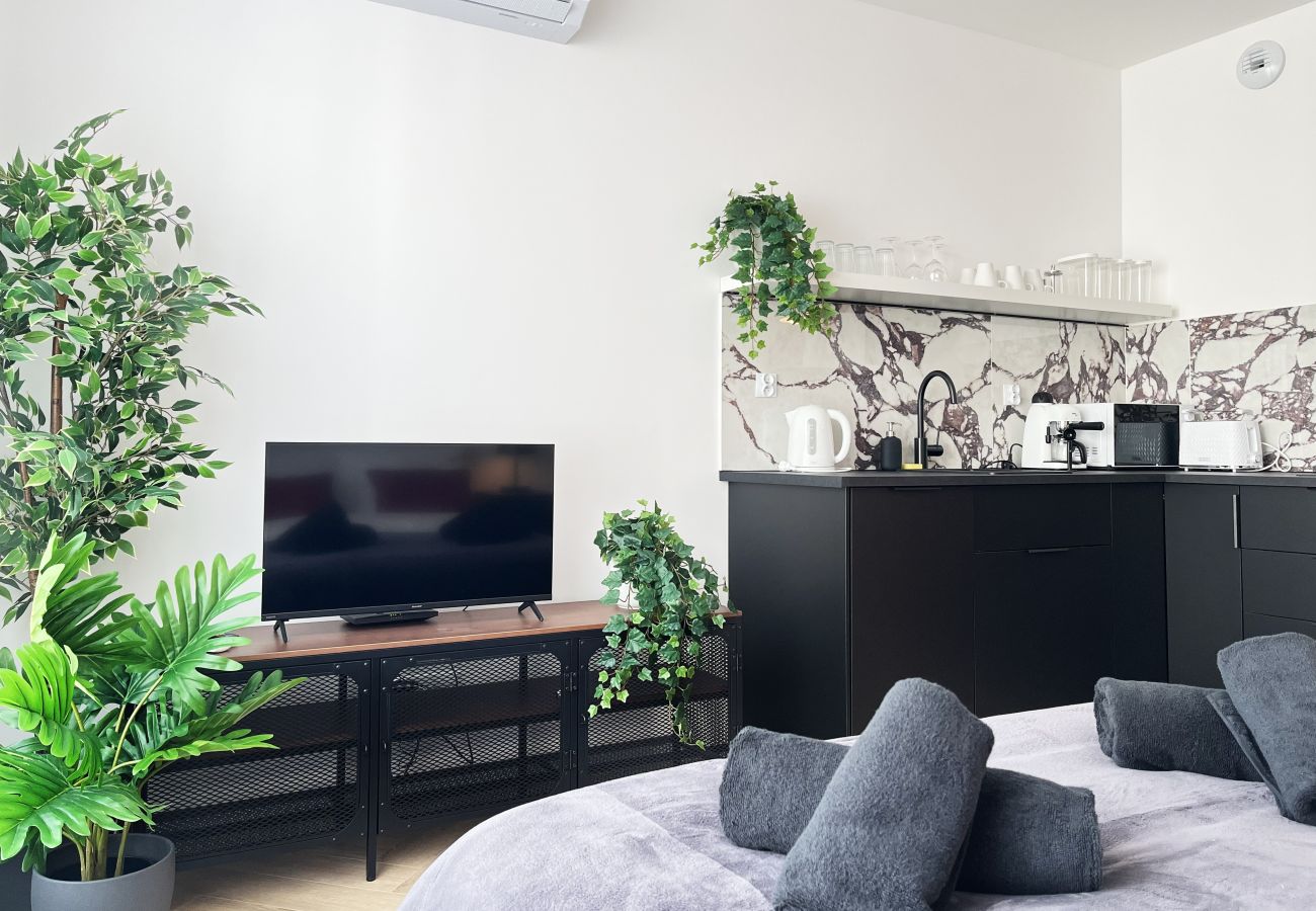 Studio w Kraków - Apartament Premium z klimatyzacją, centrum Krakowa, Dąbrowskiego