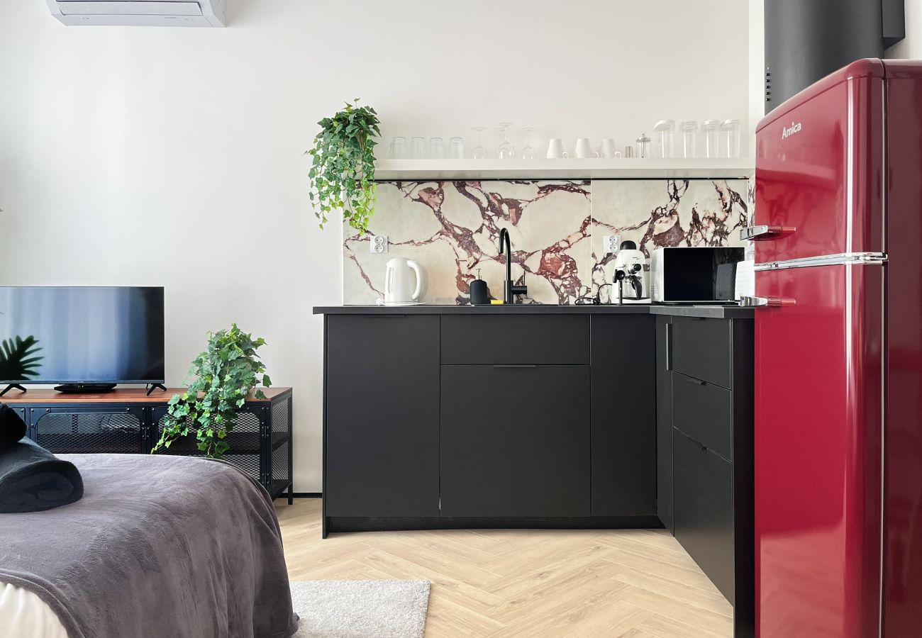 Studio w Kraków - Apartament Premium z klimatyzacją, centrum Krakowa, Dąbrowskiego