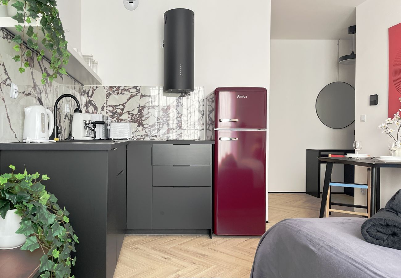 Studio w Kraków - Apartament Premium z klimatyzacją, centrum Krakowa, Dąbrowskiego
